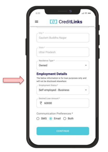 Business Details Input Details Screen